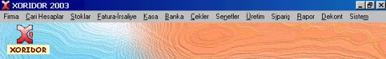 Ön muhasebe programının ana menüsü